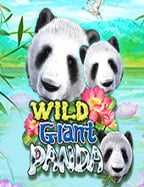 สัมผัสประสบการณ์ สล็อต 168 vip ที่คุณต้องลอง